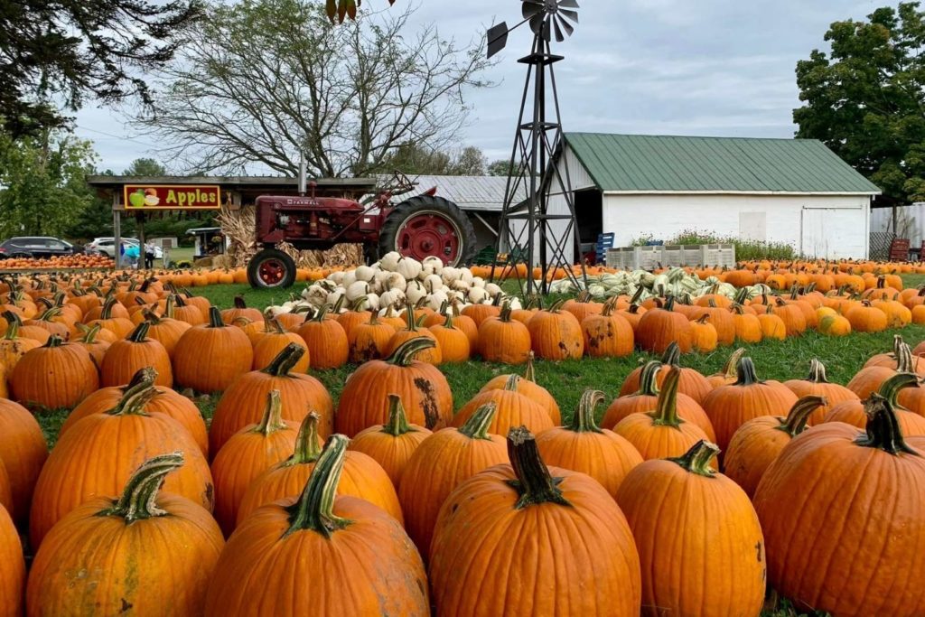 mcglasson farms pumpkin patch cincinnati